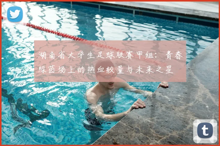 湖南省大学生足球联赛甲组:青春绿茵场上的热血较量与未来之星