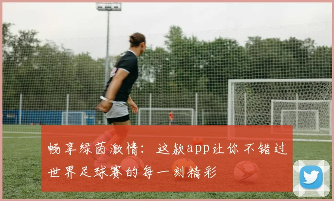 畅享绿茵激情:这款app让你不错过世界足球赛的每一刻精彩